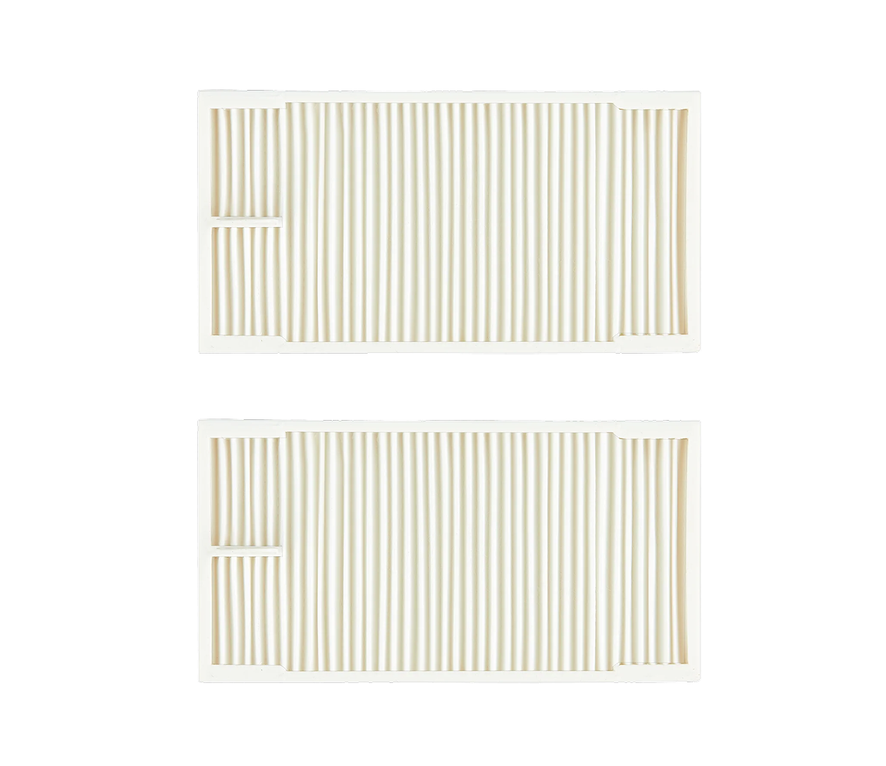 EUREKA E10s E20Plus HEPA Filter*2