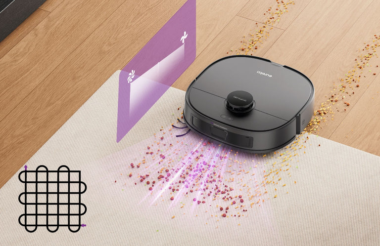 Experte für Teppichreinigung